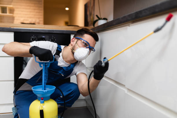 Best Pest Prevention Services  in Early, TX