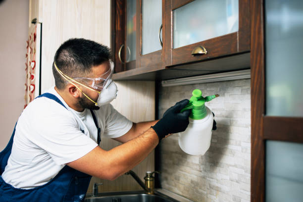 Trusted Early, TX Pest Control Experts
