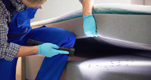 Best Pest Prevention Services  in Early, TX